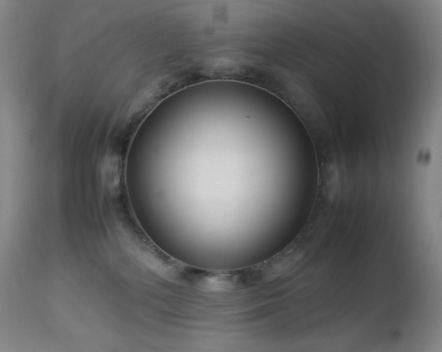 X0000113040232200908271513