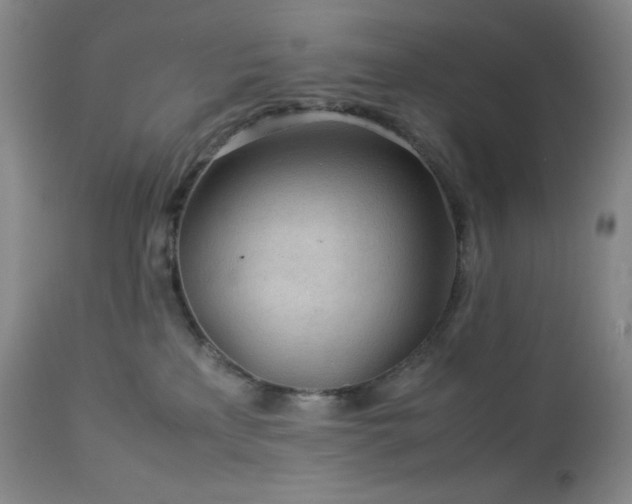 X0000113040233200908271513