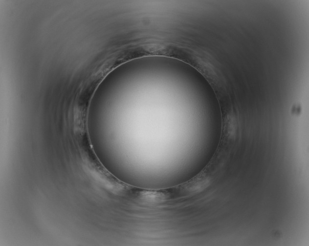 X0000113040234200908271513