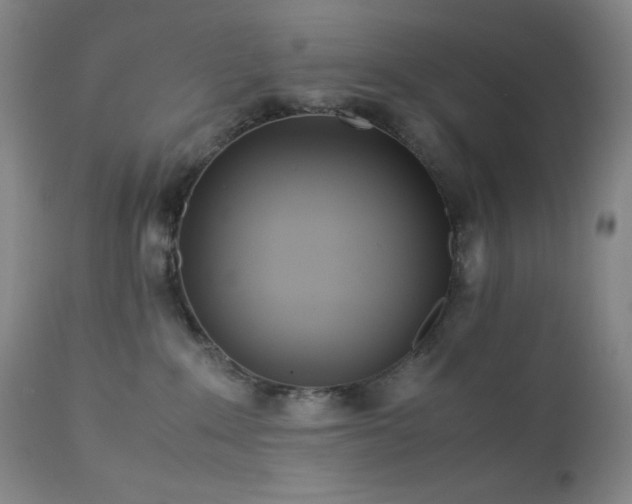 X0000113040235200908271513