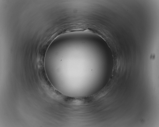 X0000113040236200908271513