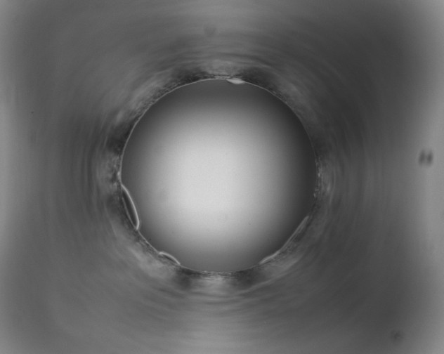 X0000113040237200908271513