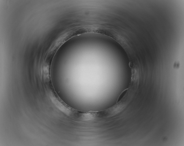 X0000113040238200908271513