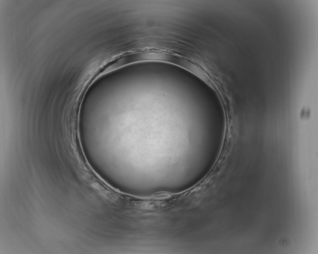 X0000113040241200908271512