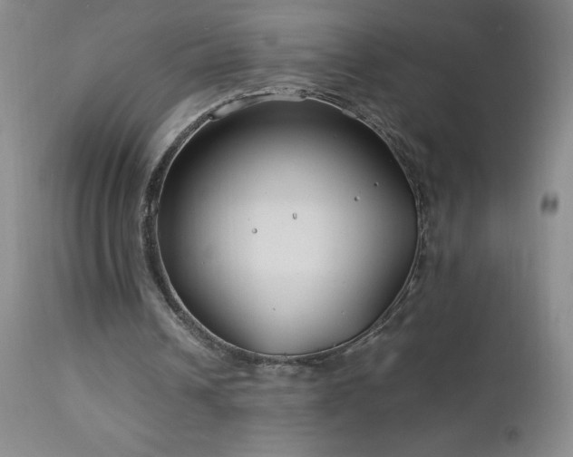X0000113040242200908271512