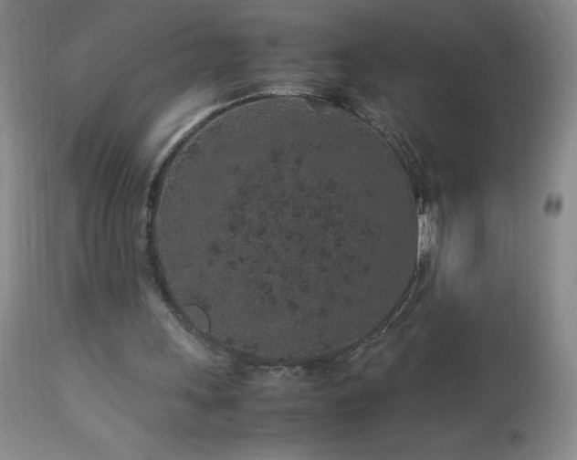 X0000113040243200908271512