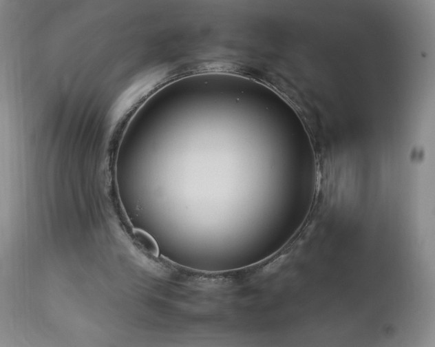 X0000113040245200908271512