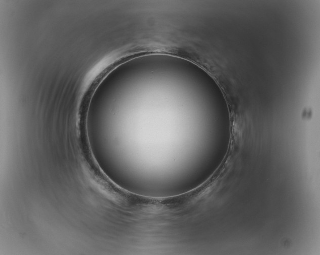 X0000113040246200908271512