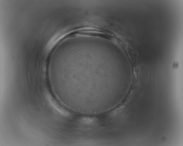 X0000113040247200908271512