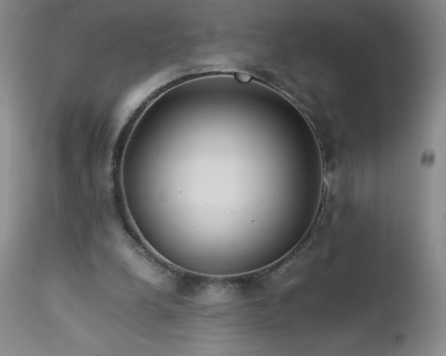 X0000113040248200908271512