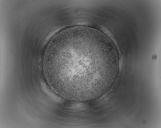 X0000113040249200908271512