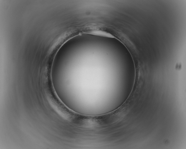 X0000113040250200908271512