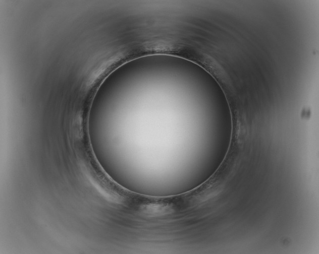 X0000113040251200908271512