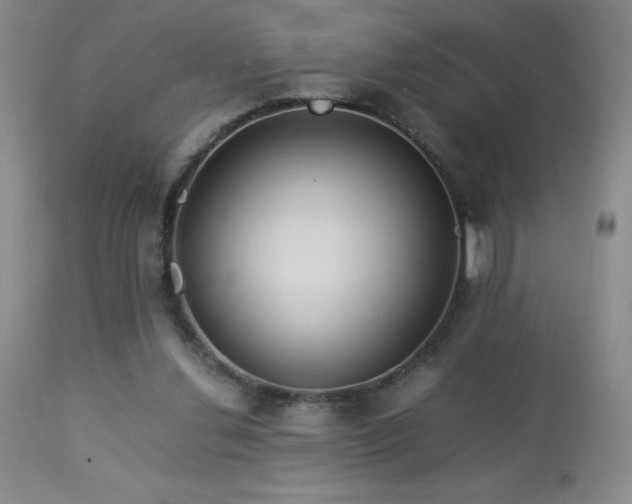 X0000113040252200908271512