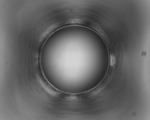 X0000113040253200908271512