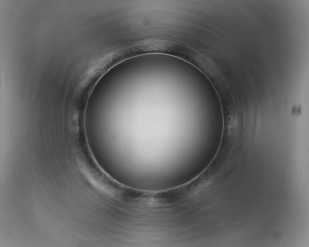 X0000113040254200908271512