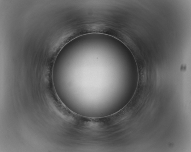 X0000113040255200908271513