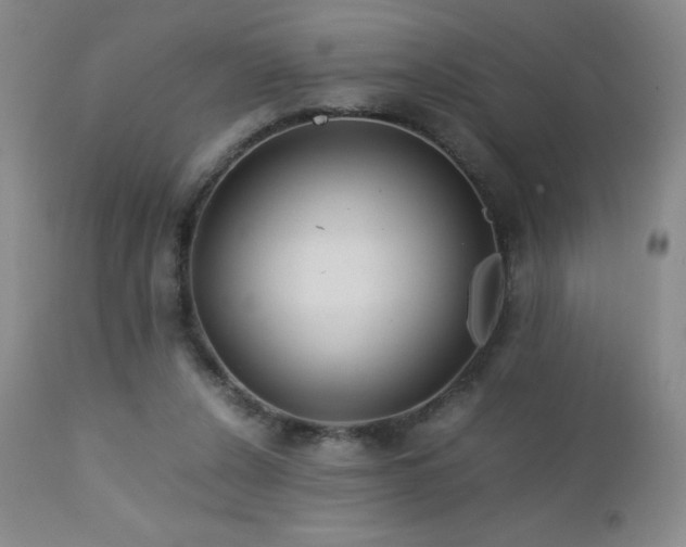 X0000113040256200908271513