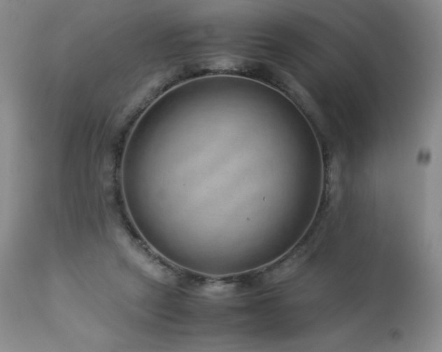 X0000113040257200908271513