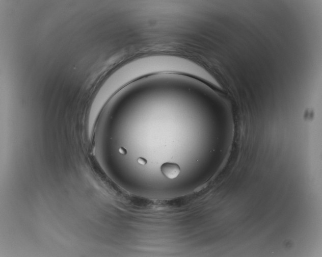 X0000113040260200908271513