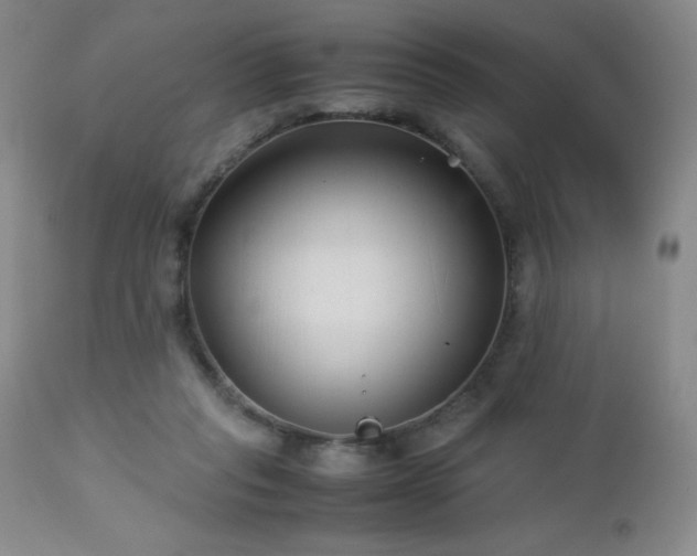 X0000113040261200908271513
