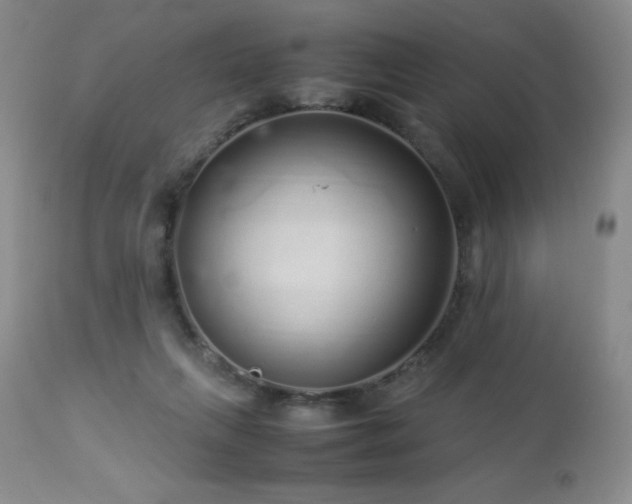 X0000113040263200908271513