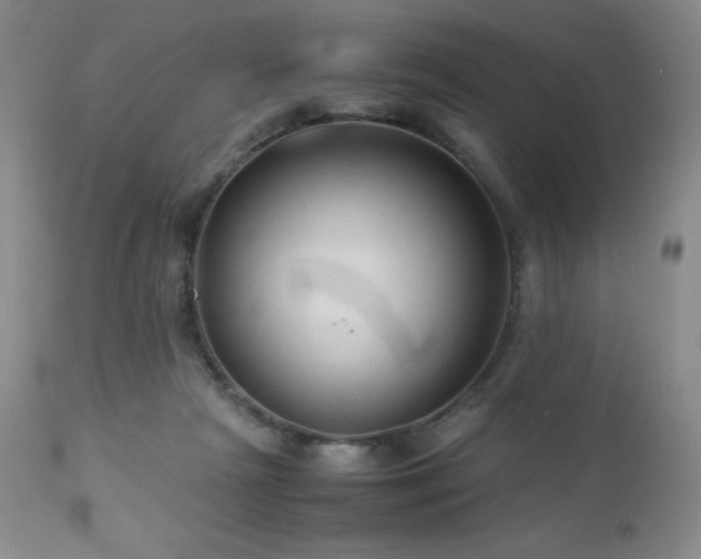 X0000113040265200908271513