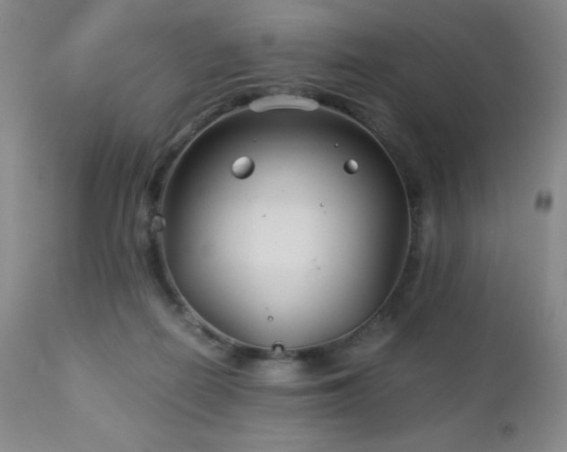 X0000113040266200908271513