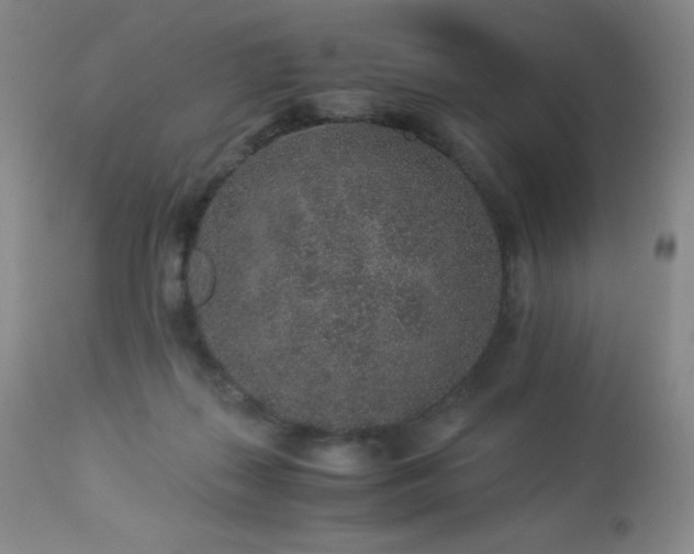X0000113040267200908271513