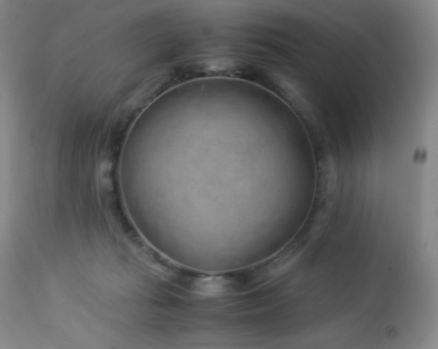 X0000113040269200908271513