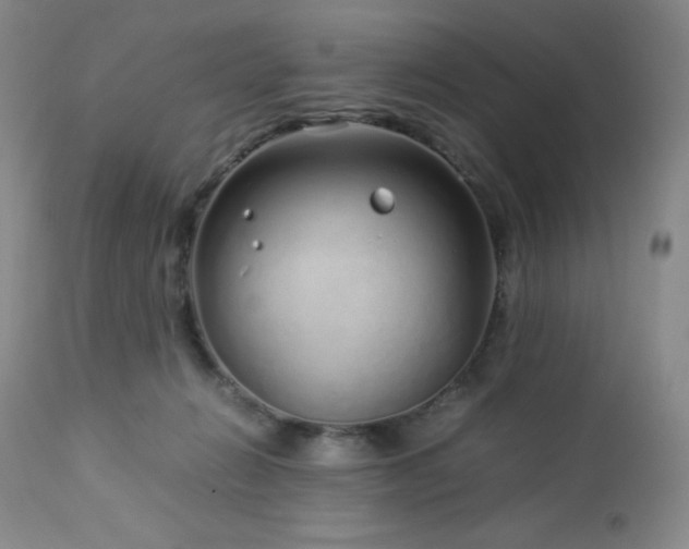 X0000113040270200908271513