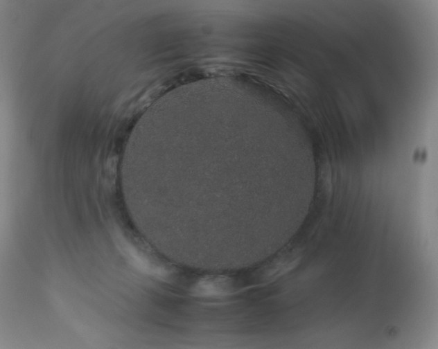 X0000113040271200908271513