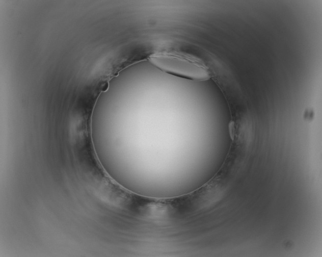 X0000113040272200908271513