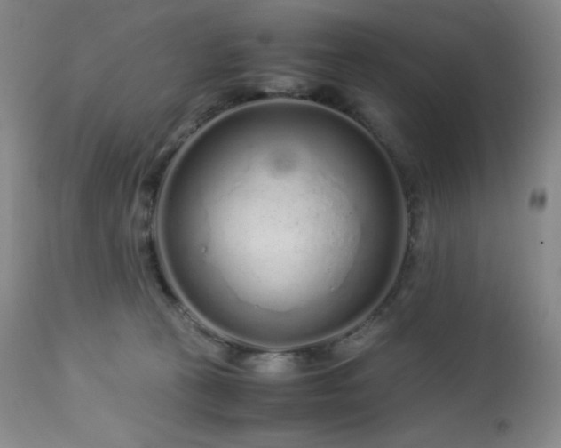 X0000113040273200908271513