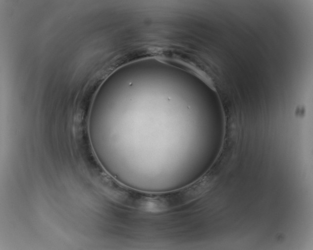 X0000113040275200908271513