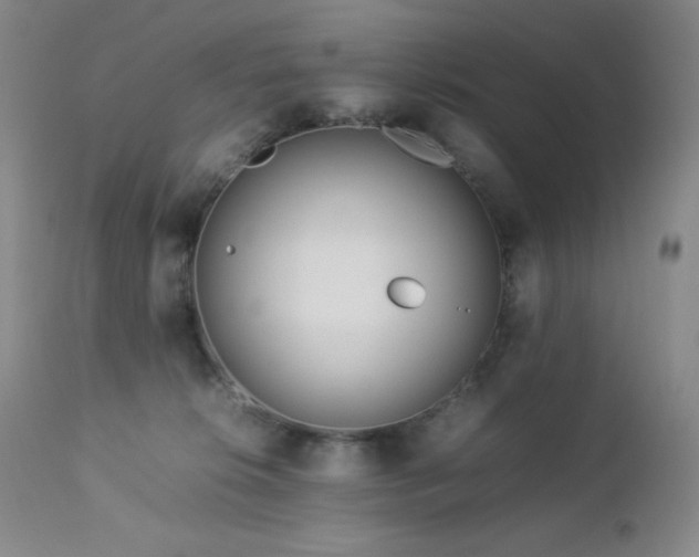 X0000113040276200908271513