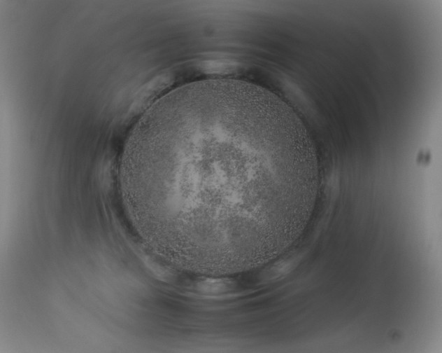 X0000113040277200908271513