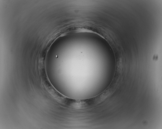 X0000113040278200908271513