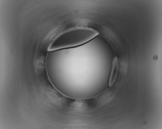 X0000113040280200908271513
