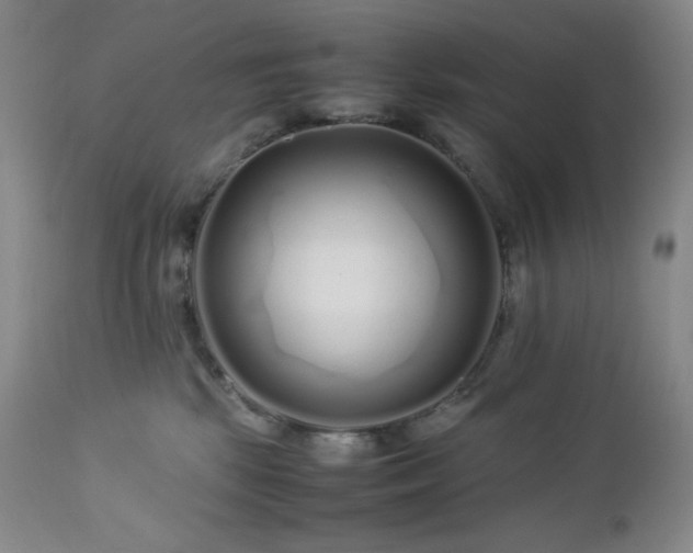 X0000113040281200908271513