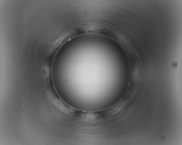X0000113040282200908271513