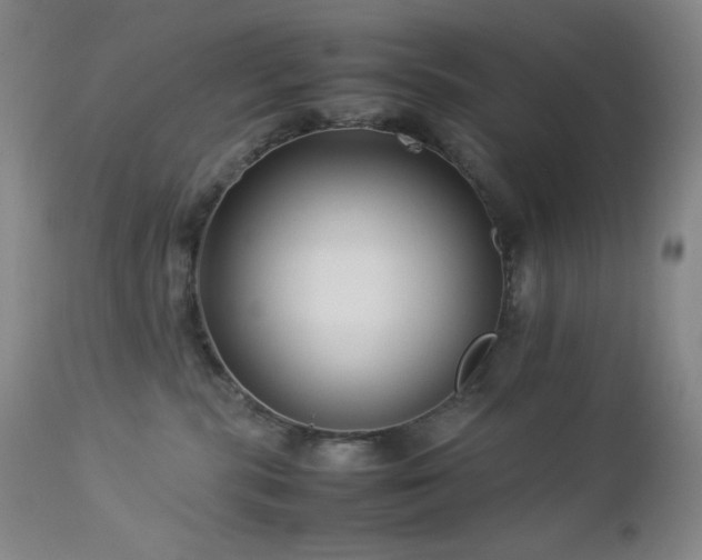 X0000113040283200908271513