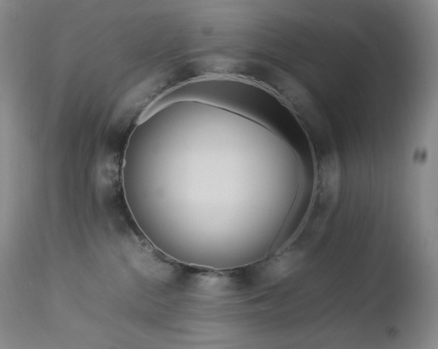 X0000113040284200908271513