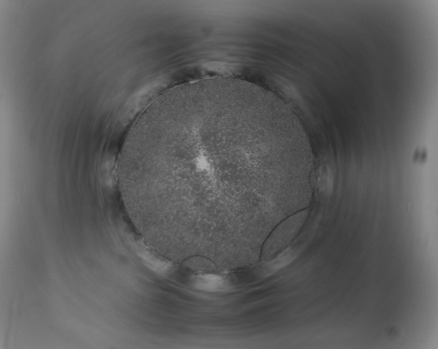 X0000113040285200908271513
