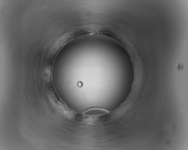 X0000113040288200908271513