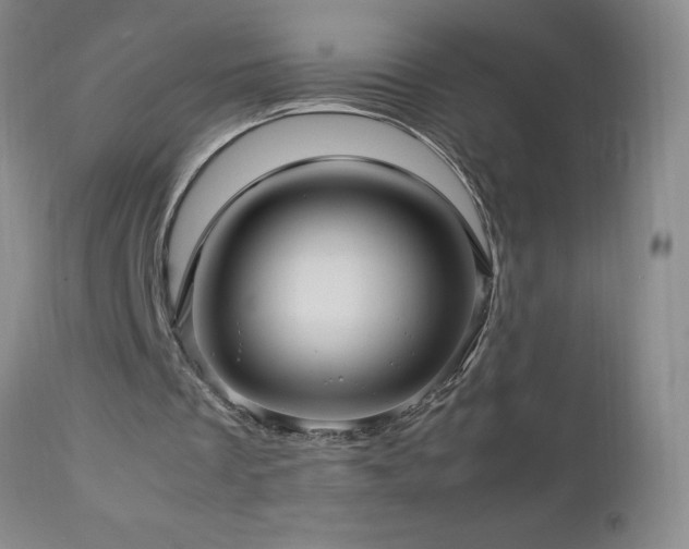 X0000113040289200908271512
