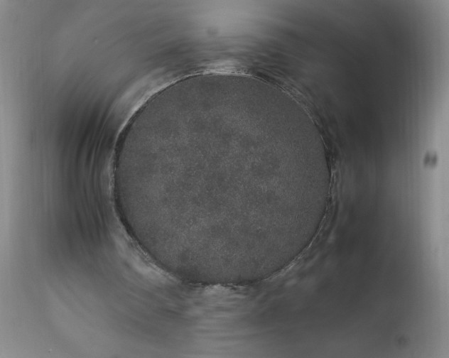 X0000113040290200908271512