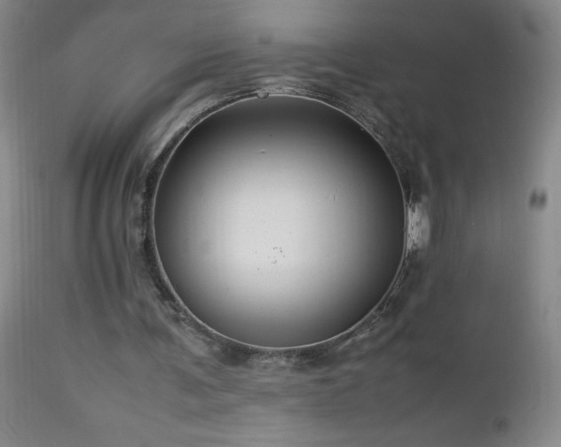 X0000113040291200908271512