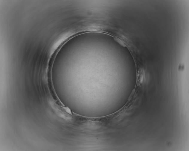 X0000113040292200908271512