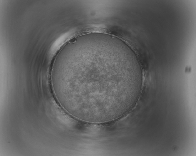 X0000113040293200908271512